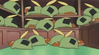 Pokémon 7x25