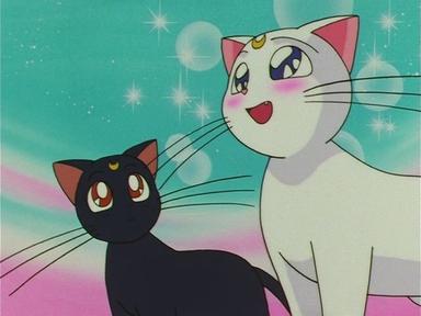 Sailor Moon 4x6