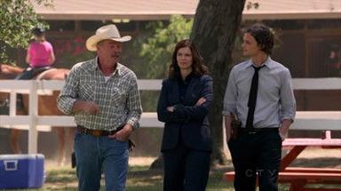 Mentes criminales 8x3