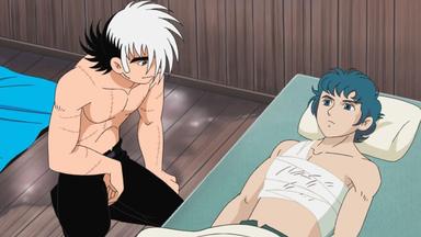 Black Jack 1x36