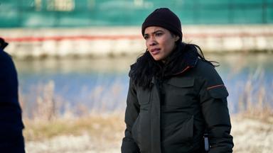 Chicago P.D. 7x14