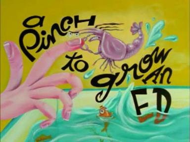 Ed, Edd y Eddy 1x6