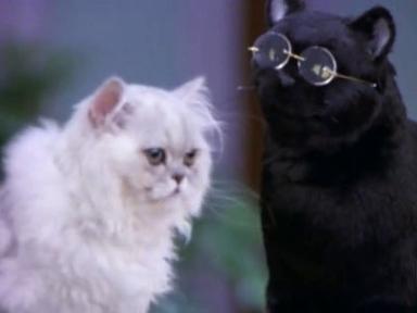 Sabrina, cosas de brujas 4x11